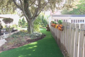 Cleveland, Cincinnati artificial grass lawns 