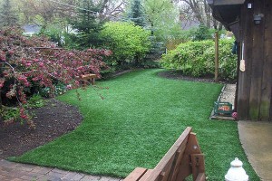 Synthetic Lawns